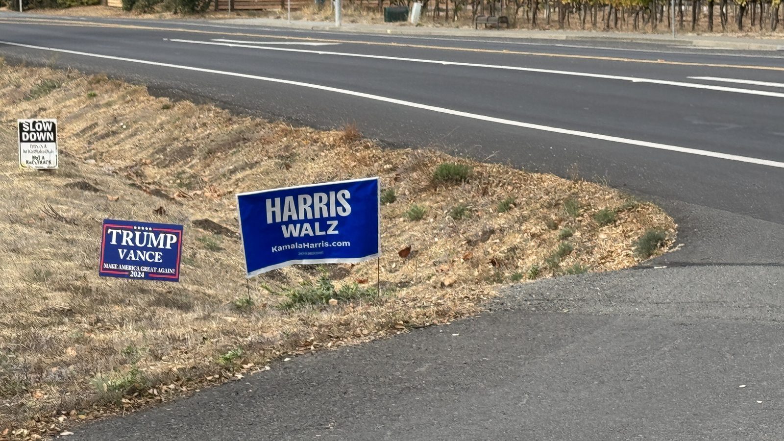 Political yard signs in Sonoma - November 2024 - Sarah Stierch.jpg